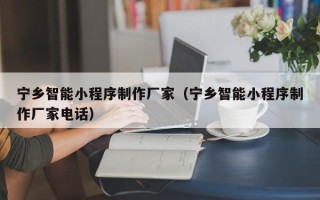 曹县宁乡智能小程序制作厂家（宁乡智能小程序制作厂家电话）