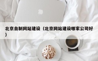 曹县北京自制网站建设（北京网站建设哪家公司好）